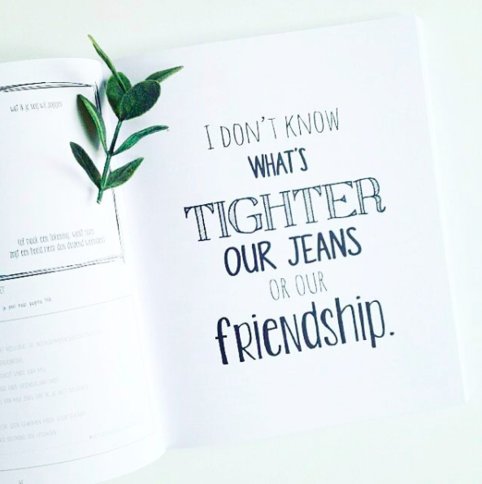 Het vriendenboek quote