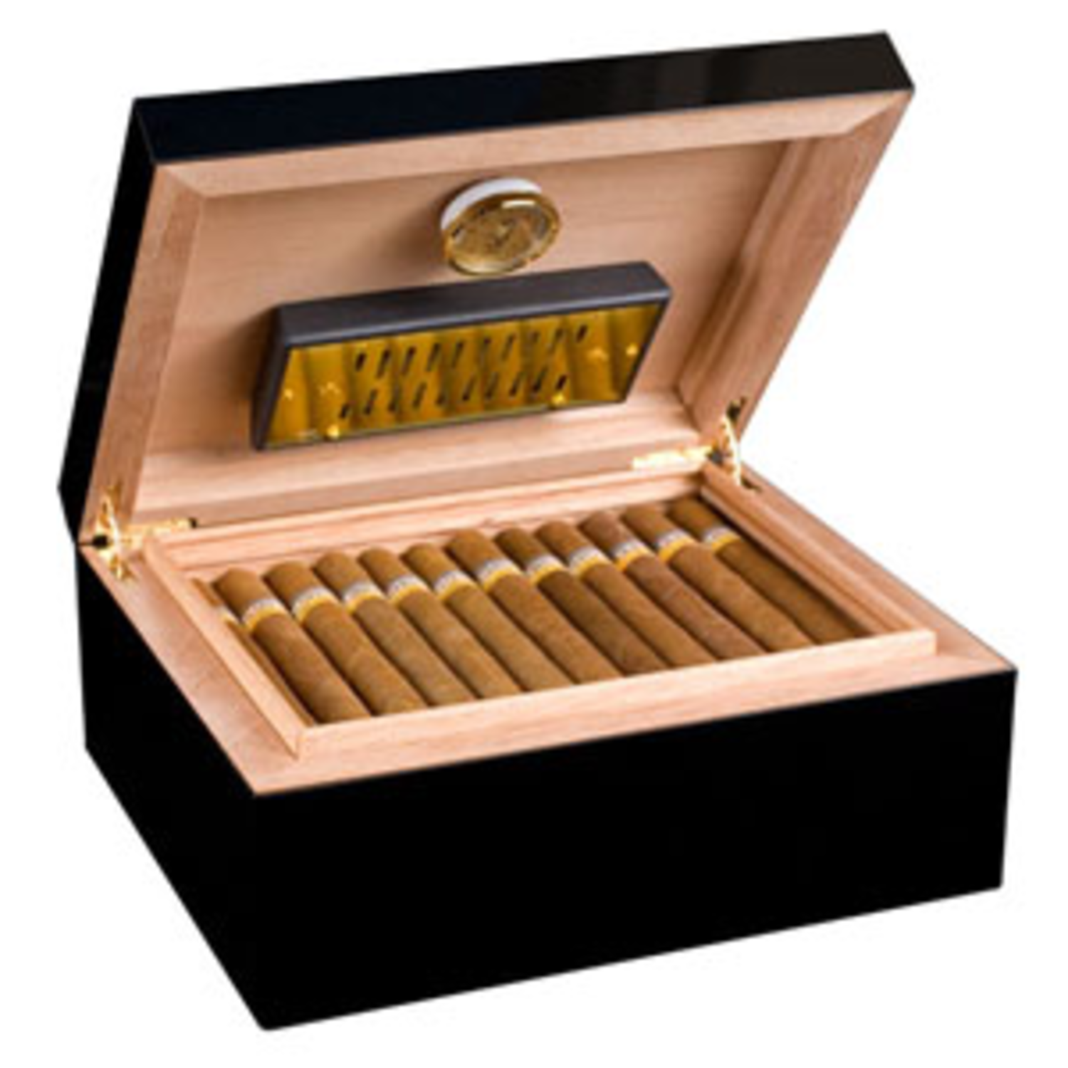 Sigaar en humidor Milledoni Spot on gifts
