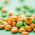 M&Ms gepersonaliseerd