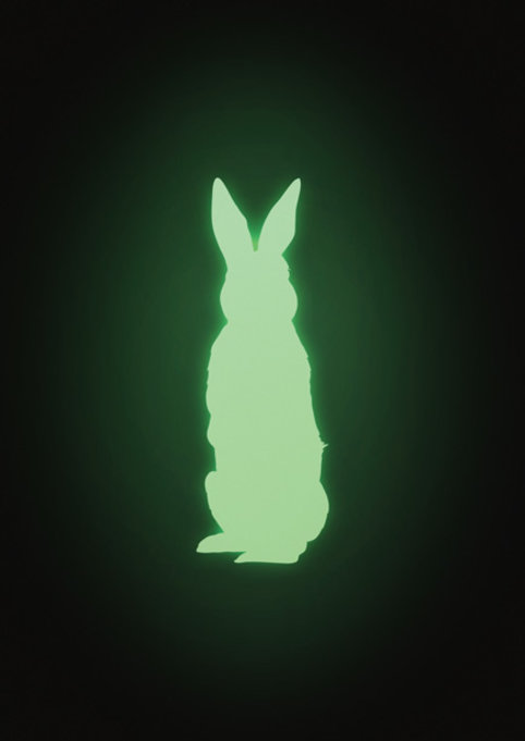 glow_rabbit_night_435x615px_RGB.jpg