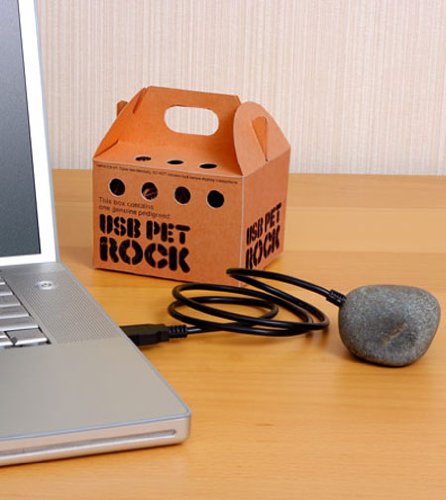 The Original Pet Rock Surprise