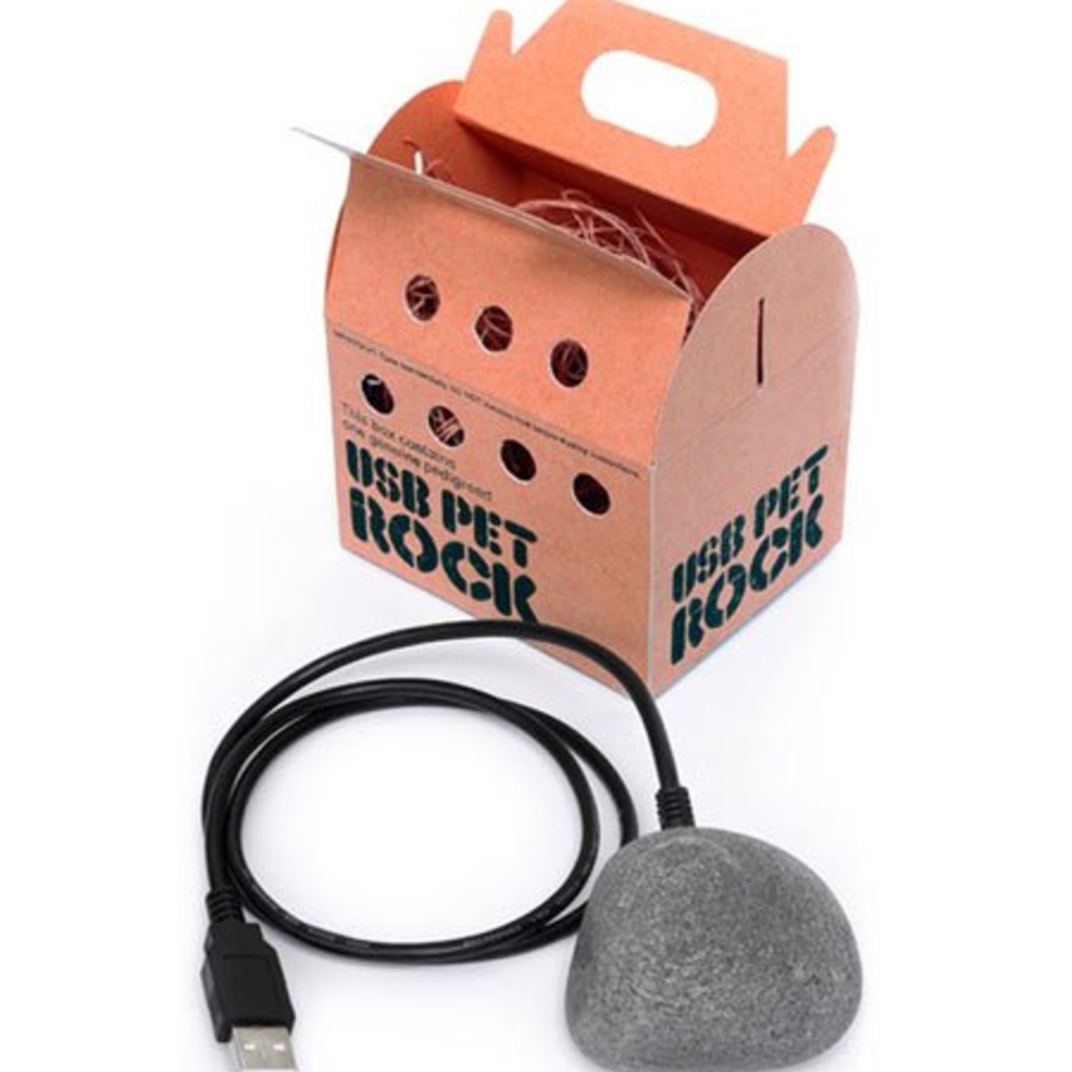 Bilderesultat for usb pet rock