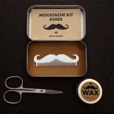 Moustache kit 1