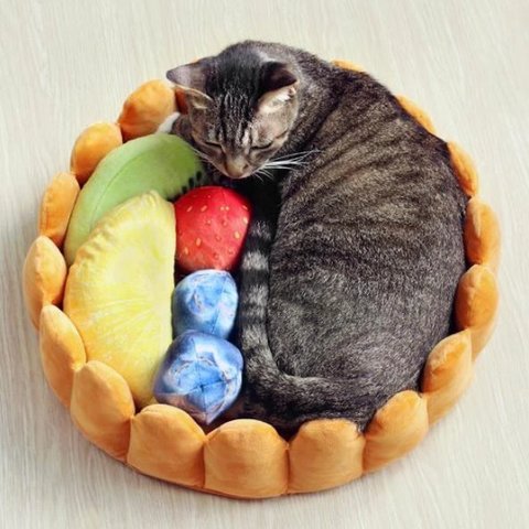 Fruit Tart Cat Bed Meowingtons