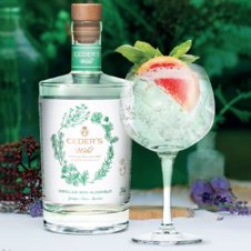 gin-fles+glas.png