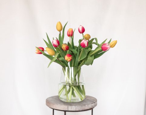 brievenbus-cadeau-tulpen-bloemen